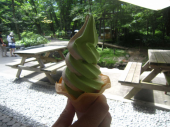 パワースポット　戸隠神社散策 画像3