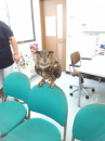 ☆珍客来客？！☆