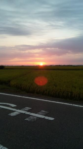 今日の夕日(^O^)/ 画像2