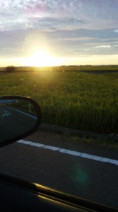 今日の夕日(^O^)/ 画像3