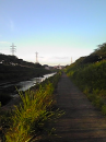 柏尾川散歩道