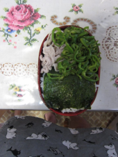 幼稚園 画像1