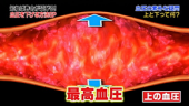 『一日：６ｇ？』 画像2