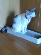 no title 画像1