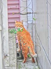 会社に遊びにいってきた 画像3