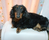 麒麟の翼 ～劇場版・新参者～ 画像3