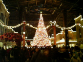 ディズニーランドのクリスマス 画像1