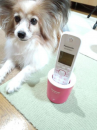 ☆いえ電壊れる☆