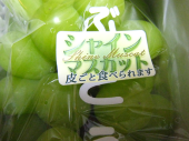 no title 画像1