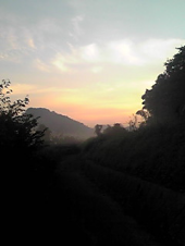 早朝の舞岡 画像2