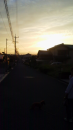 tomytomy散歩