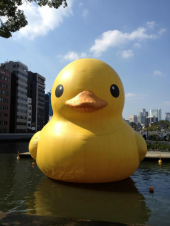 水都大阪フェス2012 ～水辺のまちあそび～ 画像1