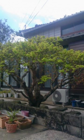 雨 画像1