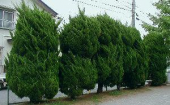 no title 画像1