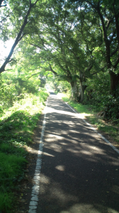 六十九日目（新しい体重計買った） 画像2