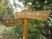 高尾山 画像1