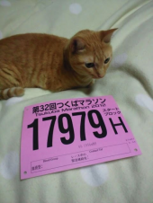 ゼッケン、ｷﾀ━━━━━━(ﾟ∀ﾟ)━━━━━━!!!! 画像1