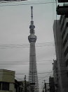 講習会