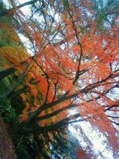 ケンミンショーで　　・・・♪ 画像2