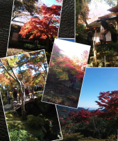 遊びに行くのも、 画像1