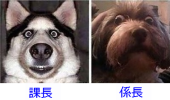雑感（顔つき編） 画像2