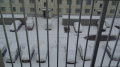 雪！！