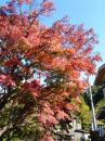 高尾山～城山～南高尾山陵
