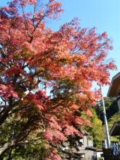 高尾山～城山～南高尾山陵 画像2