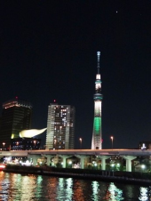 ツリー☆スカイツリー 画像3