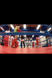 【N】MuayThaix2 画像1
