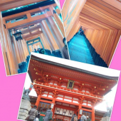 ベタNA京都～♪ 画像1