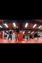 【N】MuayThai x3 画像1
