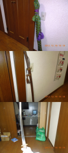グントー…騒動(;^ω^)。 画像2