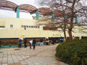 大田区ロードレース 画像1