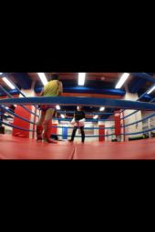 【N】MuayThai x2 画像2