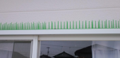 鳩の糞対策 画像1