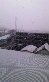 雪になってる♪ 画像3