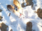 ☆まだまだ雪があるね☆ 画像2