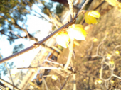 ☆まだまだ雪があるね☆ 画像3