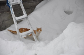 2月になったら！ 画像1