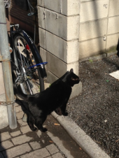 今日は休み 画像3