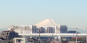 生姜マニア 画像1