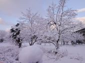 雪 画像3