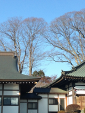 親類の葬儀 画像2