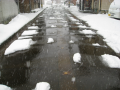 一日雪