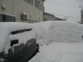 一日雪