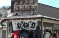 鎌倉坂の下を散歩