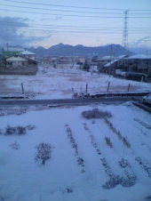 １０ウン年ぶりの 画像2