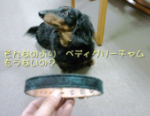 ＲＯＮ１０歳の誕生日 画像1