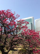 ストイック的春のウォーキング企画 画像3